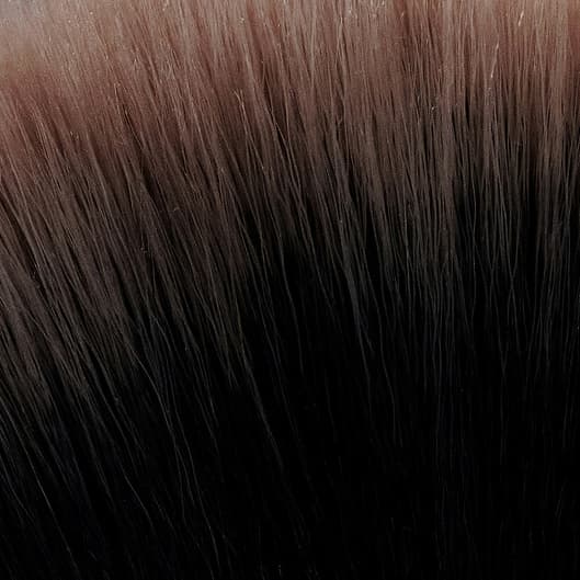 Brow Society at Kaylee Esthetics in Crossville, TN